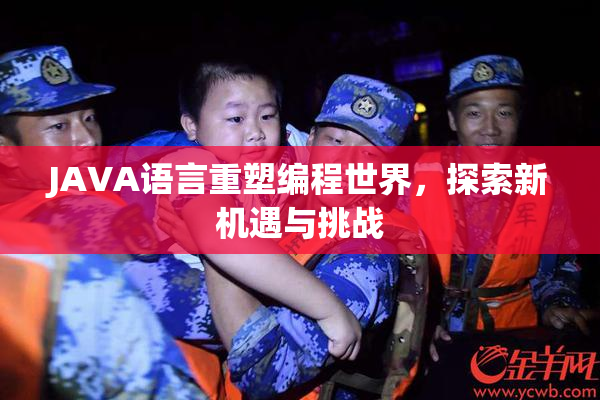 JAVA语言重塑编程世界，探索新机遇与挑战