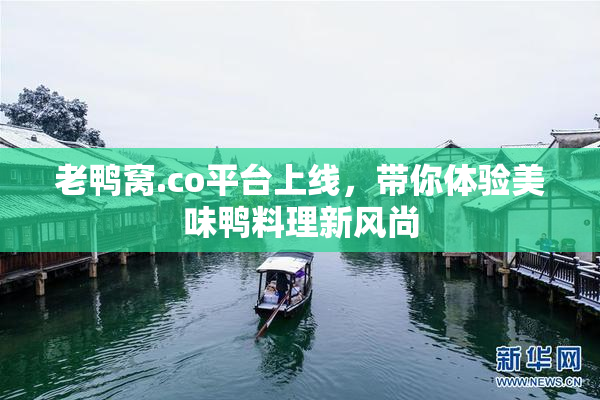 老鸭窝.co平台上线，带你体验美味鸭料理新风尚
