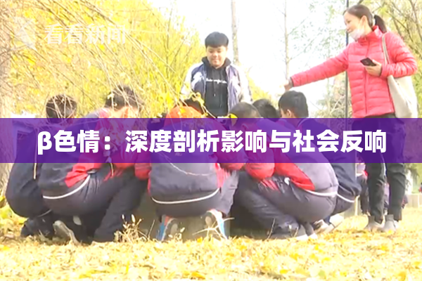 β色情：深度剖析影响与社会反响