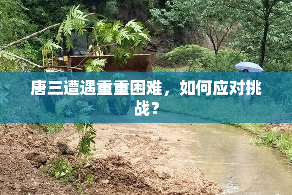 唐三遭遇重重困难，如何应对挑战？
