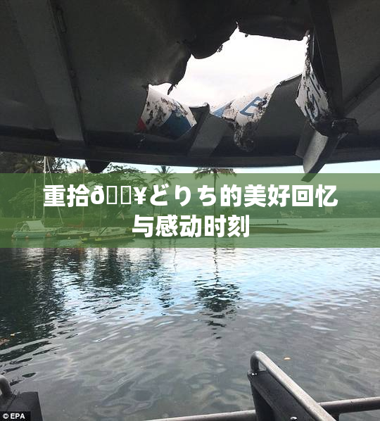 重拾🔥どりち的美好回忆与感动时刻