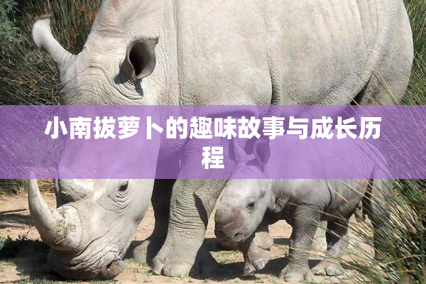 小南拔萝卜的趣味故事与成长历程