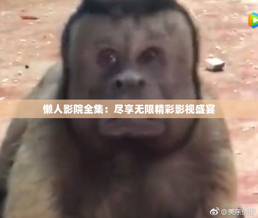 懒人影院全集：尽享无限精彩影视盛宴