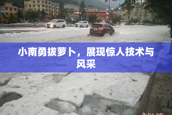 小南勇拔萝卜，展现惊人技术与风采