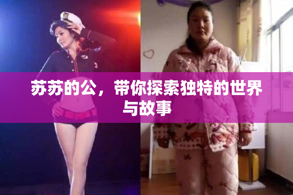 苏苏的公，带你探索独特的世界与故事