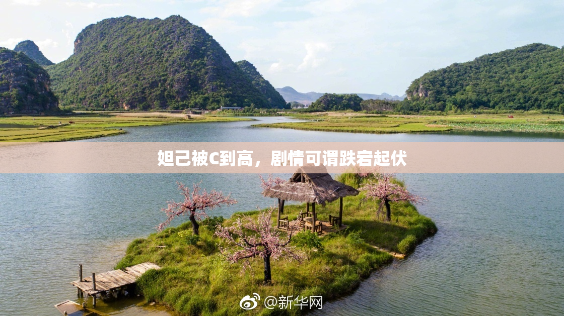 妲己被C到高，剧情可谓跌宕起伏