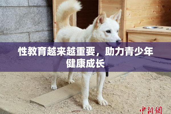 性教育越来越重要，助力青少年健康成长