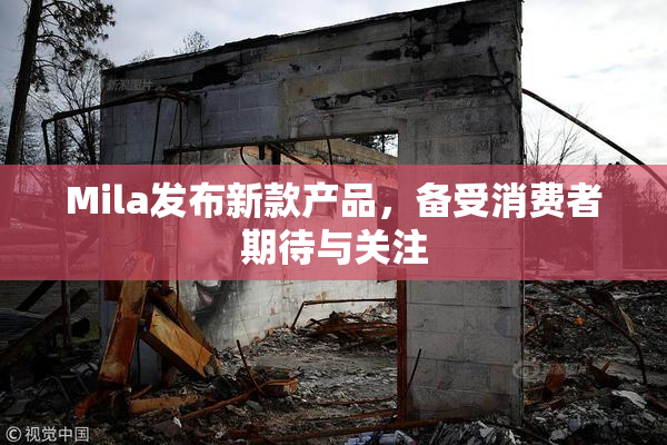 Mila发布新款产品，备受消费者期待与关注