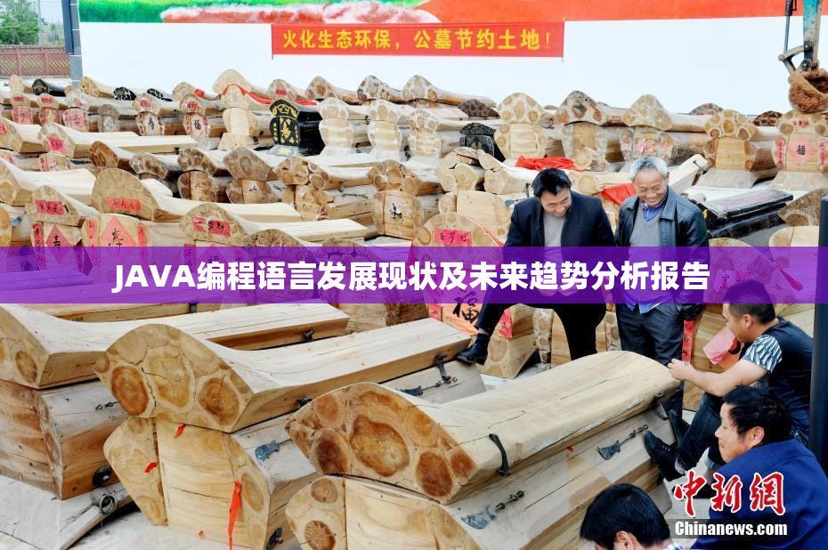 JAVA编程语言发展现状及未来趋势分析报告