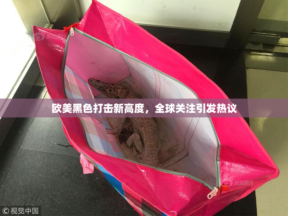 欧美黑色打击新高度，全球关注引发热议