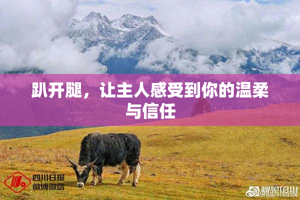 趴开腿，让主人感受到你的温柔与信任