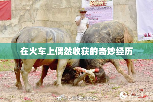 在火车上偶然收获的奇妙经历