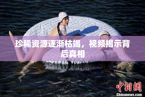 珍稀资源逐渐枯竭,视频揭示背后真相
