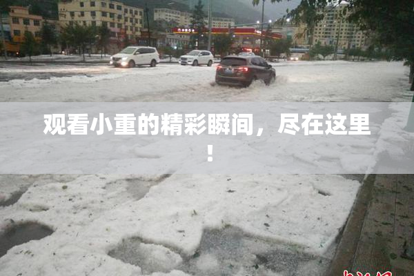 观看小重的精彩瞬间,尽在这里!