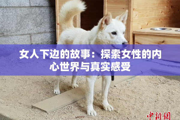 女人下边的故事：探索女性的内心世界与真实感受