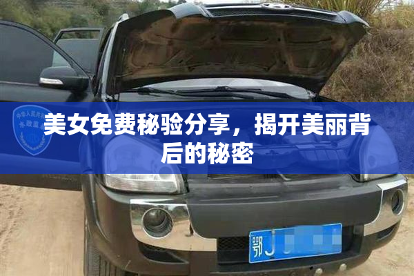 美女免费秘验分享，揭开美丽背后的秘密