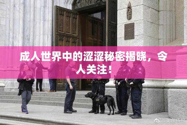 成人世界中的涩涩秘密揭晓，令人关注！