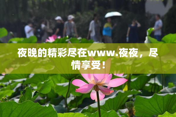 夜晚的精彩尽在www.夜夜，尽情享受！