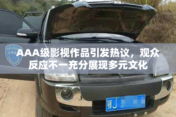 AAA级影视作品引发热议，观众反应不一充分展现多元文化