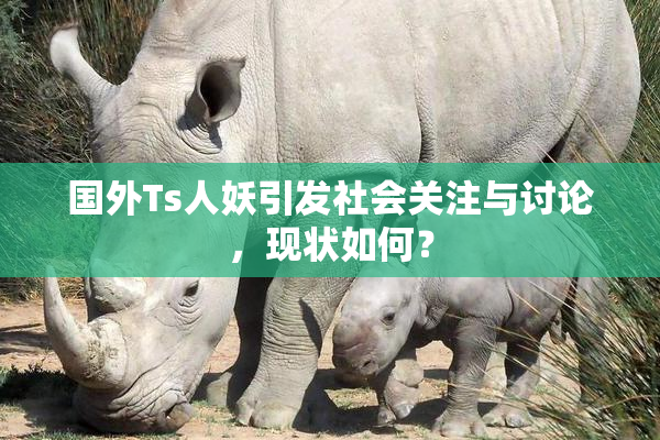 国外Ts人妖引发社会关注与讨论，现状如何？