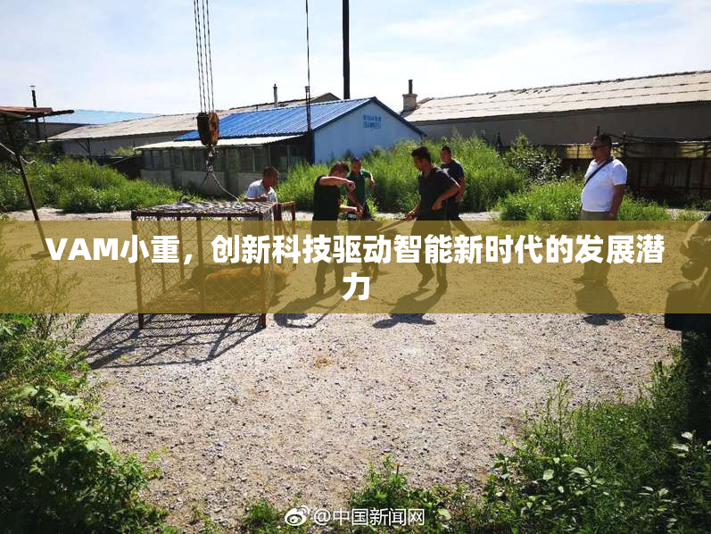 VAM小重，创新科技驱动智能新时代的发展潜力