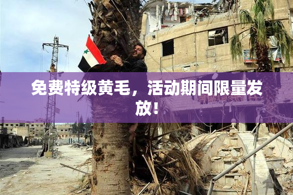 免费特级黄毛，活动期间限量发放！