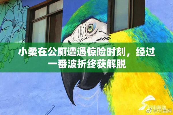 小柔在公厕遭遇惊险时刻，经过一番波折终获解脱