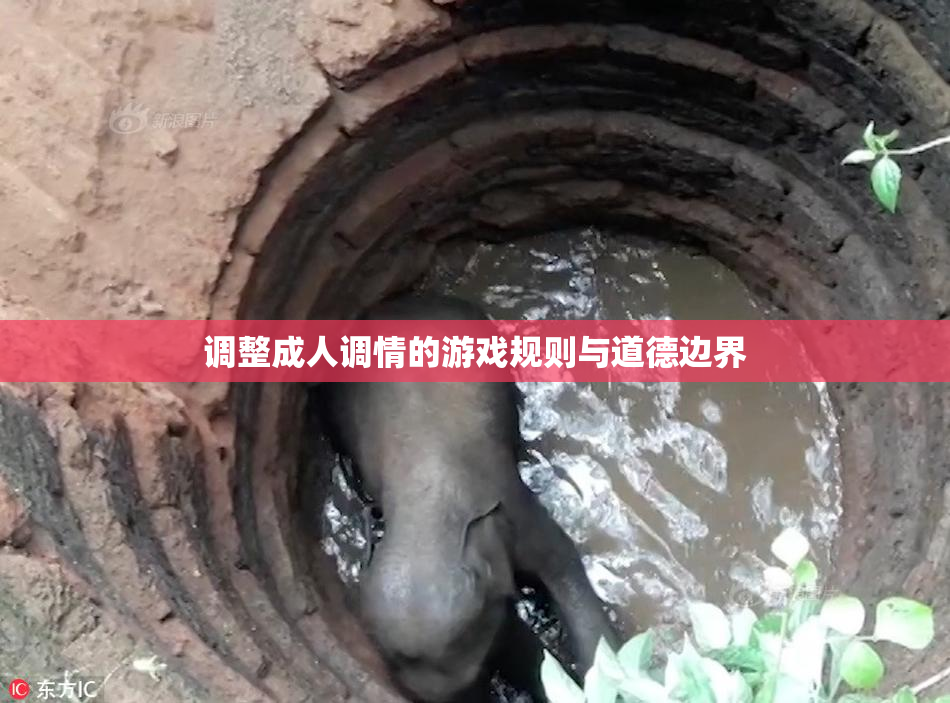 调整成人调情的游戏规则与道德边界