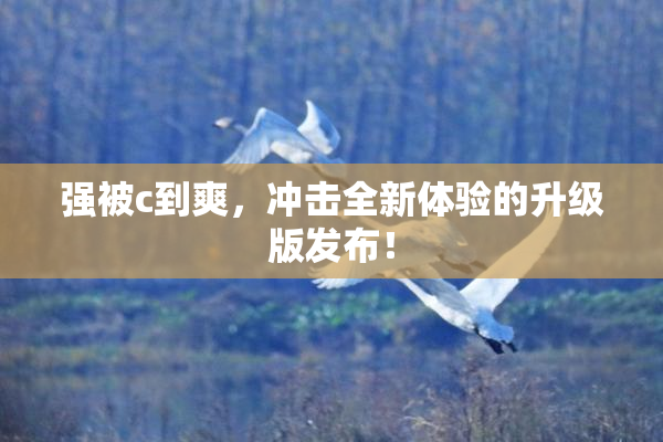 强被c到爽，冲击全新体验的升级版发布！