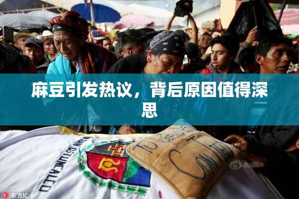 麻豆引发热议，背后原因值得深思