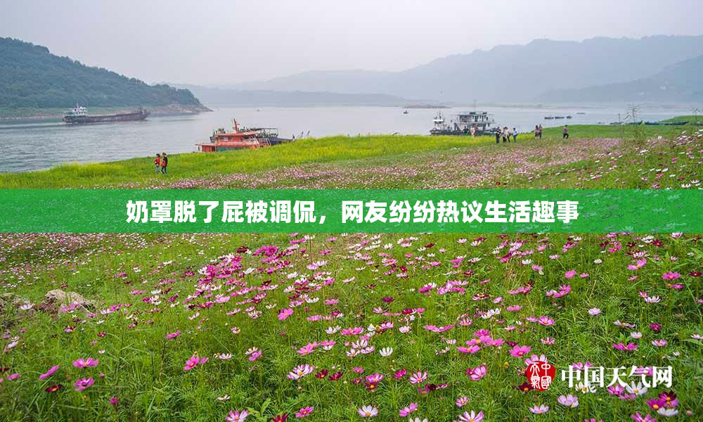 奶罩脱了屁被调侃，网友纷纷热议生活趣事