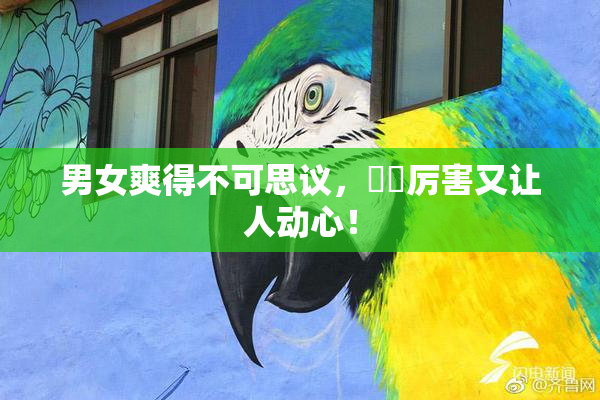 男女爽得不可思议，❌‌厉害又让人动心！
