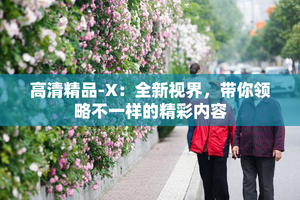 高清精品-X：全新视界，带你领略不一样的精彩内容