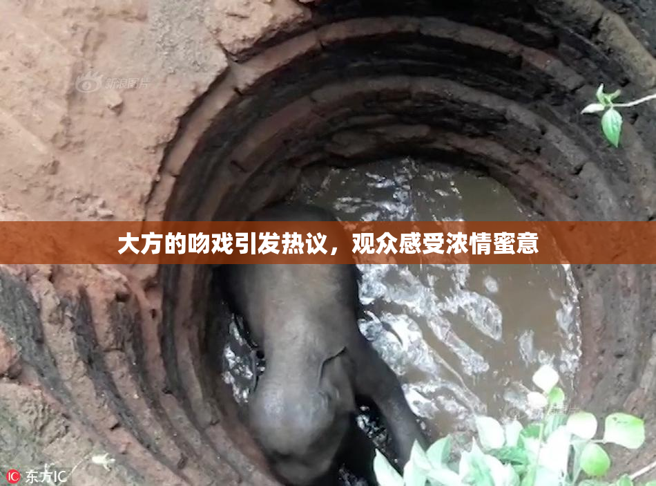 大方的吻戏引发热议，观众感受浓情蜜意