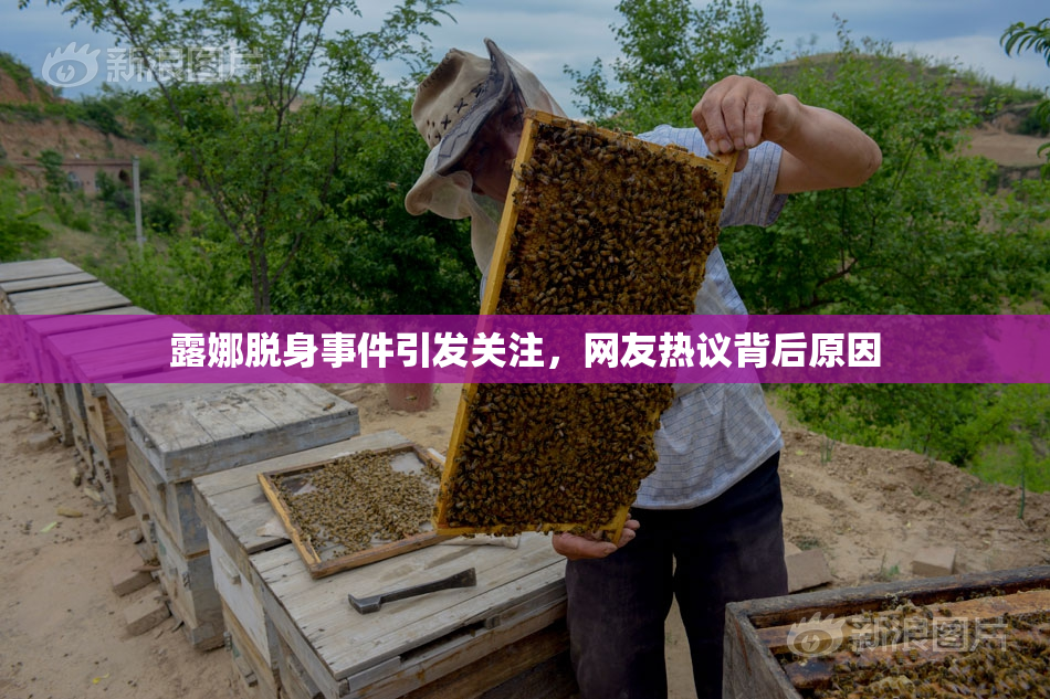 露娜脱身事件引发关注，网友热议背后原因