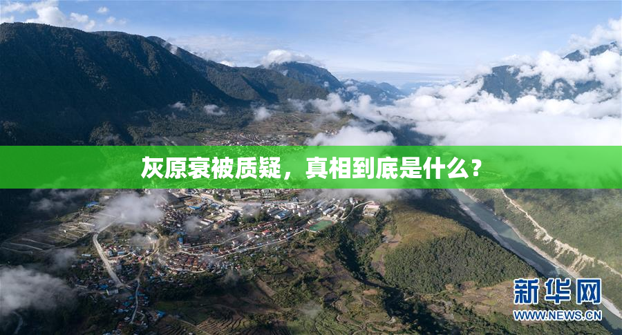 灰原衰被质疑，真相到底是什么？