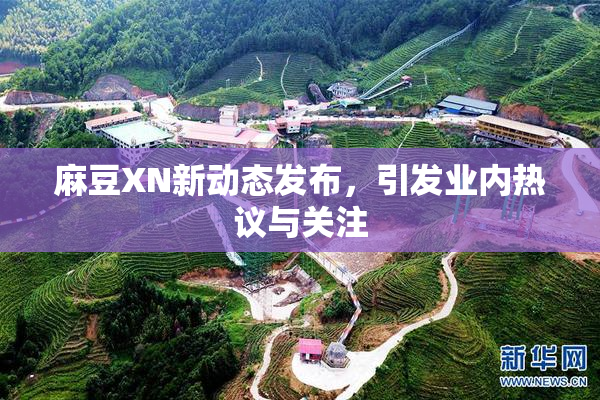 麻豆XN新动态发布，引发业内热议与关注