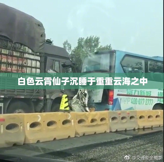 白色云霄仙子沉睡于重重云海之中
