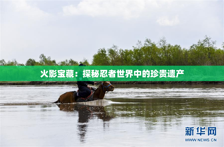 火影宝藏：探秘忍者世界中的珍贵遗产