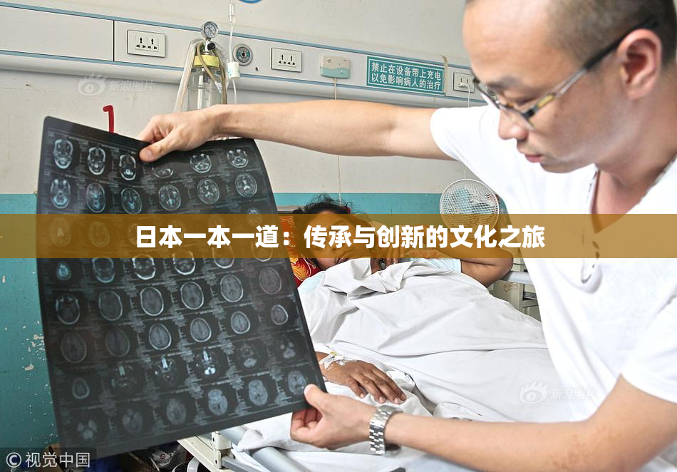 日本一本一道：传承与创新的文化之旅