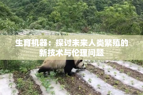 生育机器：探讨未来人类繁殖的新技术与伦理问题