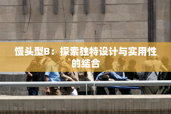 馒头型B：探索独特设计与实用性的结合