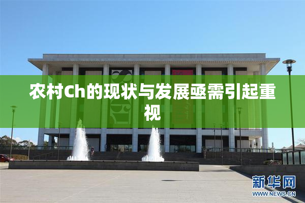 农村Ch的现状与发展亟需引起重视