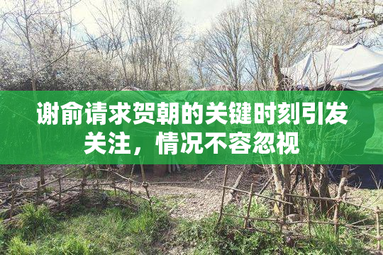 谢俞请求贺朝的关键时刻引发关注，情况不容忽视