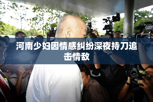 河南少妇因情感纠纷深夜持刀追击情敌