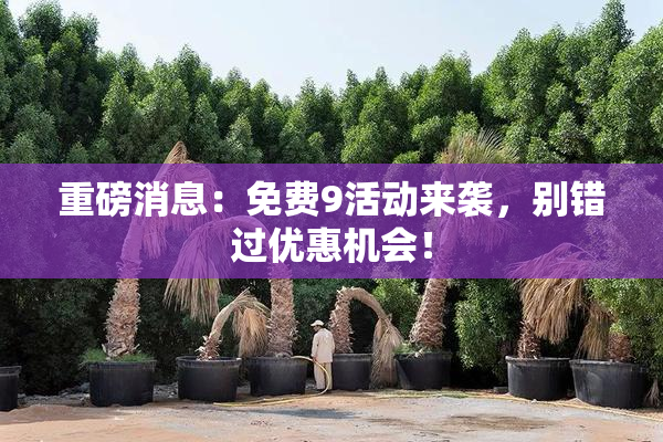 重磅消息：免费9活动来袭，别错过优惠机会！