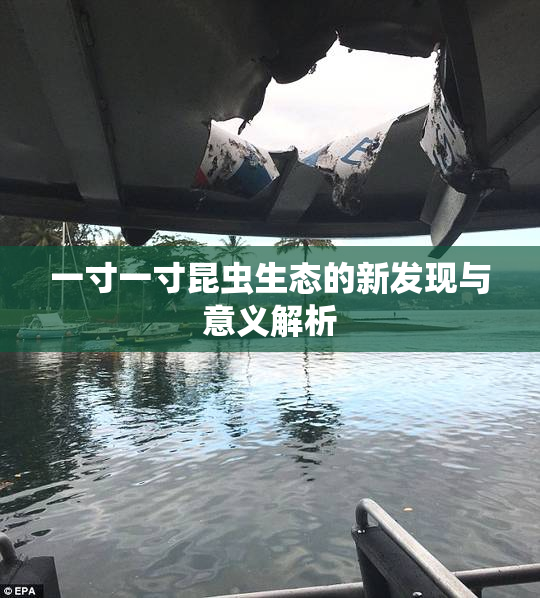 一寸一寸昆虫生态的新发现与意义解析