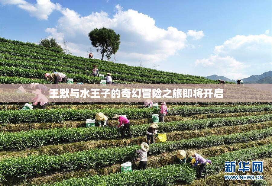 王默与水王子的奇幻冒险之旅即将开启
