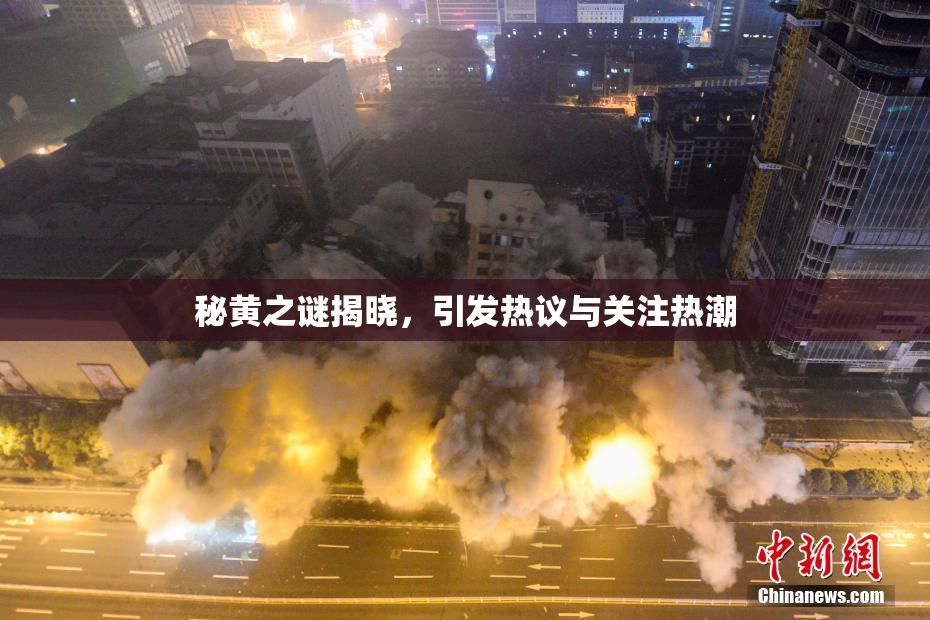 秘黄之谜揭晓，引发热议与关注热潮