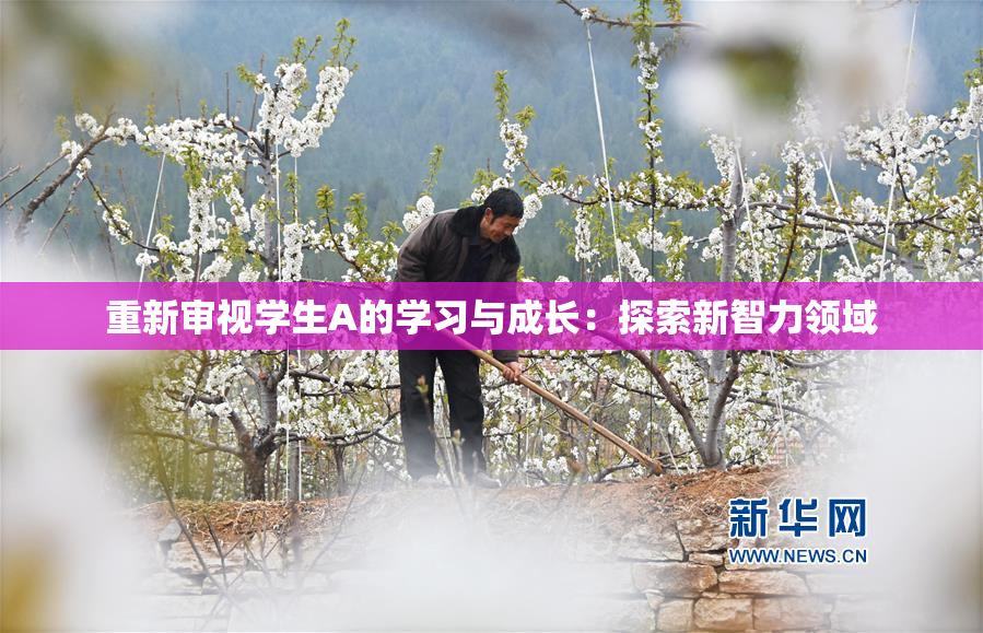 重新审视学生A的学习与成长：探索新智力领域